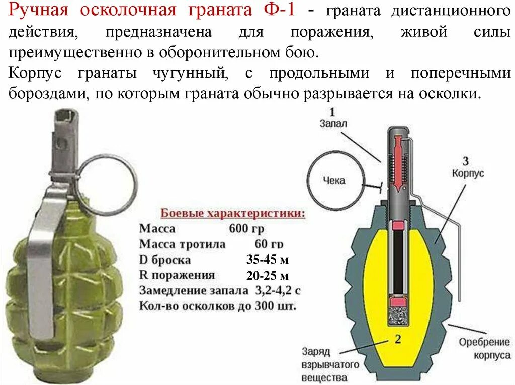 Как получить детонатор. ТТХ ф1 гранаты. Устройство гранаты ф1 схема. Технические характеристики гранаты ф 1. Граната Лимонка ф1 характеристики.