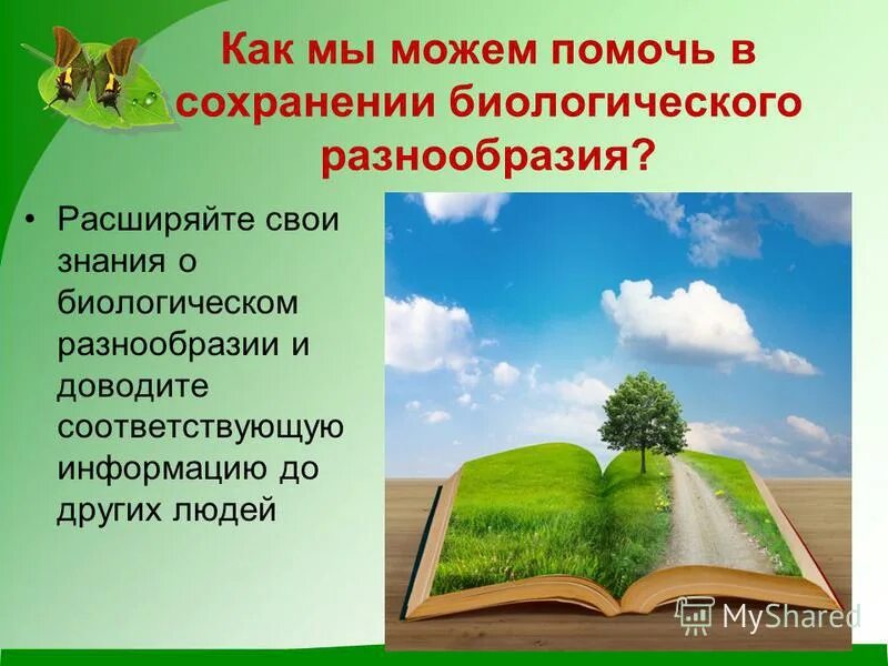 Расширить разнообразие. Расширить разнообразие