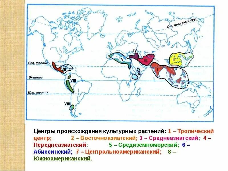 Восточноазиатский центр происхождения культурных растений. Культурные растения средиземноморского центра. Переднеазиатский центр культурных растений. Переднеазиатский центр происхождения культурных растений на карте. Переднеазиатский культурные растения.