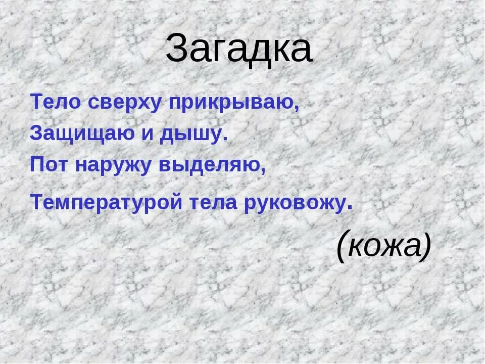 Загадки на тему организм. Загадки про кожу человека. Загадки на тему организм человека. Загадки про органы человека. Загадки про народ