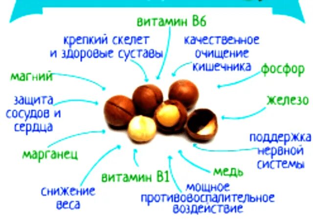 Сколько штук можно есть в день