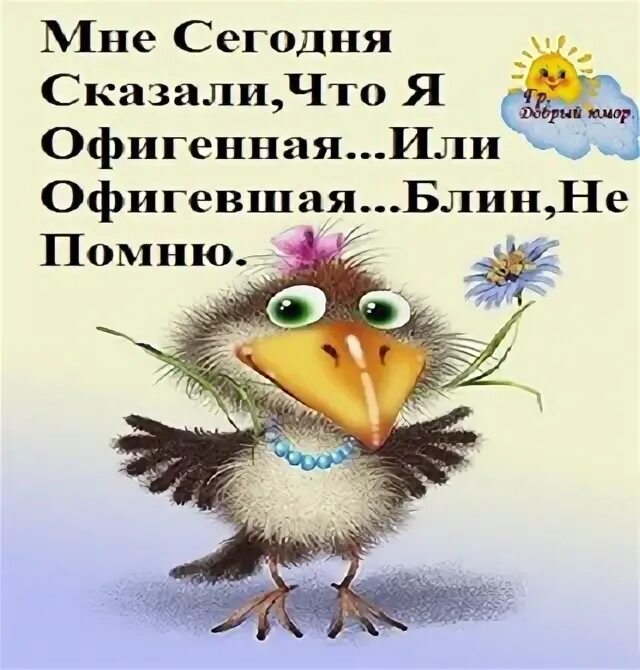 Голос говорит добрых. Мне сегодня сказали что я офигенная или офигевшая. мне сегодня сказали что я офигенная. если кому-то сегодня не сказали добрых слов позвольте мне. ты офигеть какая офигенная.