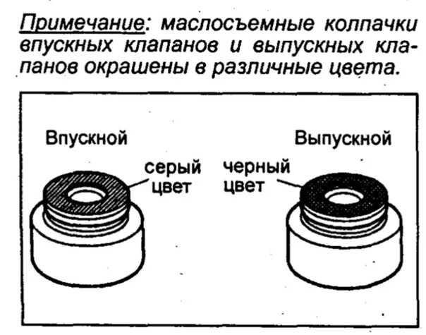 Как отличить впускной. 22224-23500 — Маслосъёмный колпачок. Отличие маслосъемных колпачков впускных и выпускных. Отличие маслосъемных колпачков впуск и выпуск. Маслосъемные колпачки Тойота Прадо впускные и выпуск.