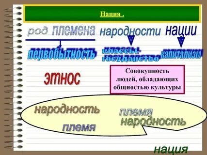Род племя признаки