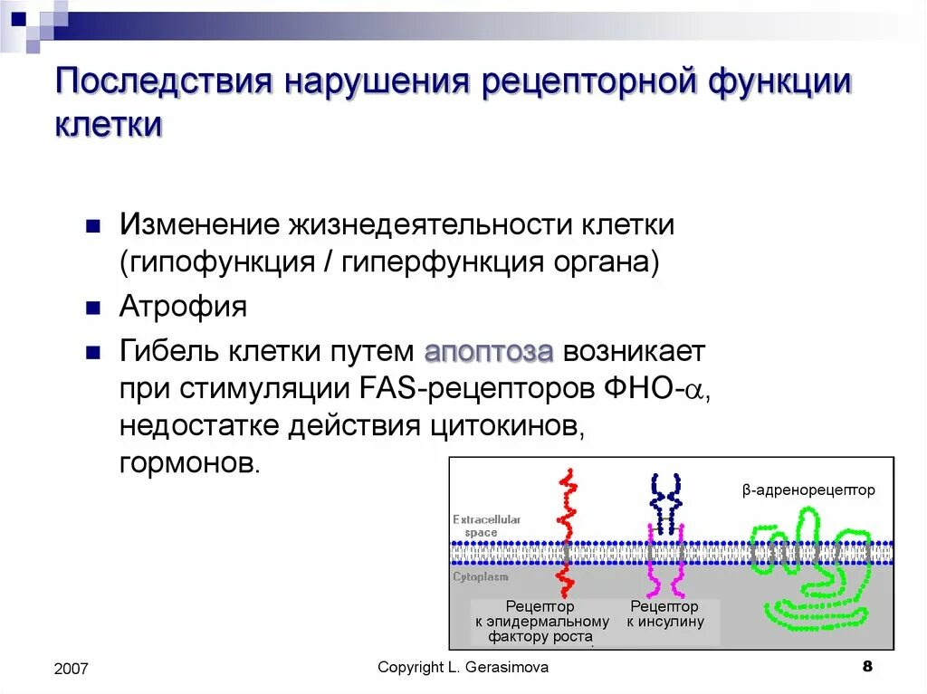 Примеры последствий нарушения последствий. Патология рецепторного аппарата клетки патофизиология. Изменение рецепторных свойств клетки. Нарушение рецепторной функции. Факторы нарушающие функции рецепторного аппарата клетки..