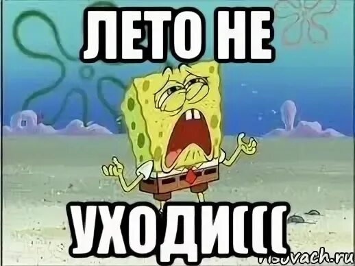 Лето. Подожди не уходи. Какие планы на лето. Лето ну не уходи. Я жду лето.