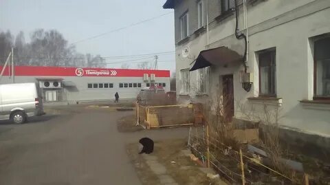Расписание орехово зуево новый снопок