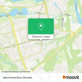 Автобусы зябликово