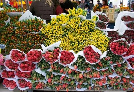 Рижская цветы рынок время