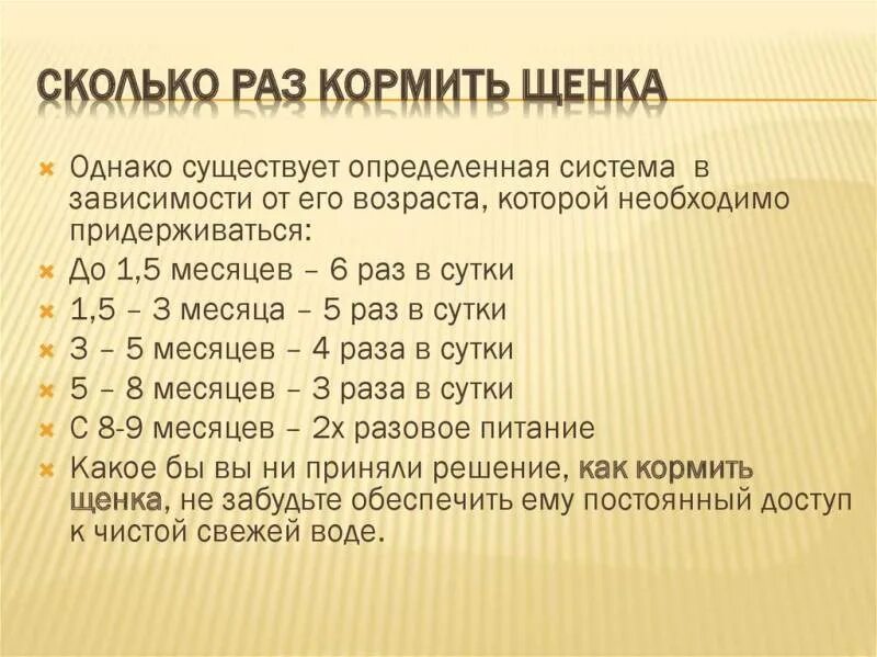 3 месяца сколько раз кормить. Сколько раз в день кормить щенка в 2 месяца. сколько раз надо кормить щенка 3 месяца. сколько раз надо кормить щенка в 6 месяцев. сколько раз в день кормить щенка 2х месяцев.