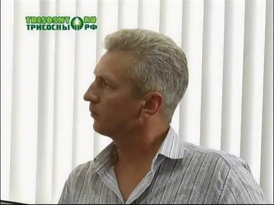 Димитровградские новости последние. Сайт сосны димитровград. Сайт сосны димитровград. Сосны димитровград. Сайт сосны димитровград.