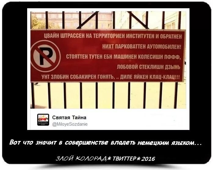 Бум танцен их виль нихт перевод. Бум танцен их виль нихт перевод