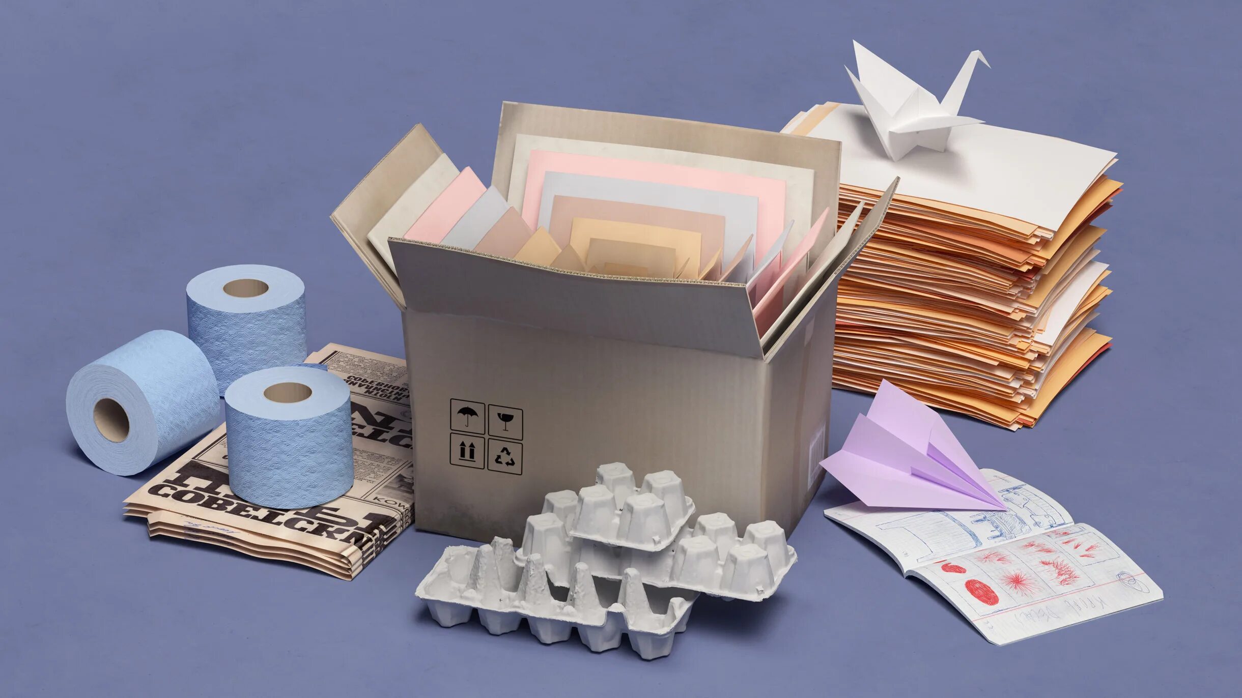 Где живет бумага. Бумага и бумажные изделия. Изделия из переработанной бумаги. Бумага из макулатуры. Переработка бумаги.