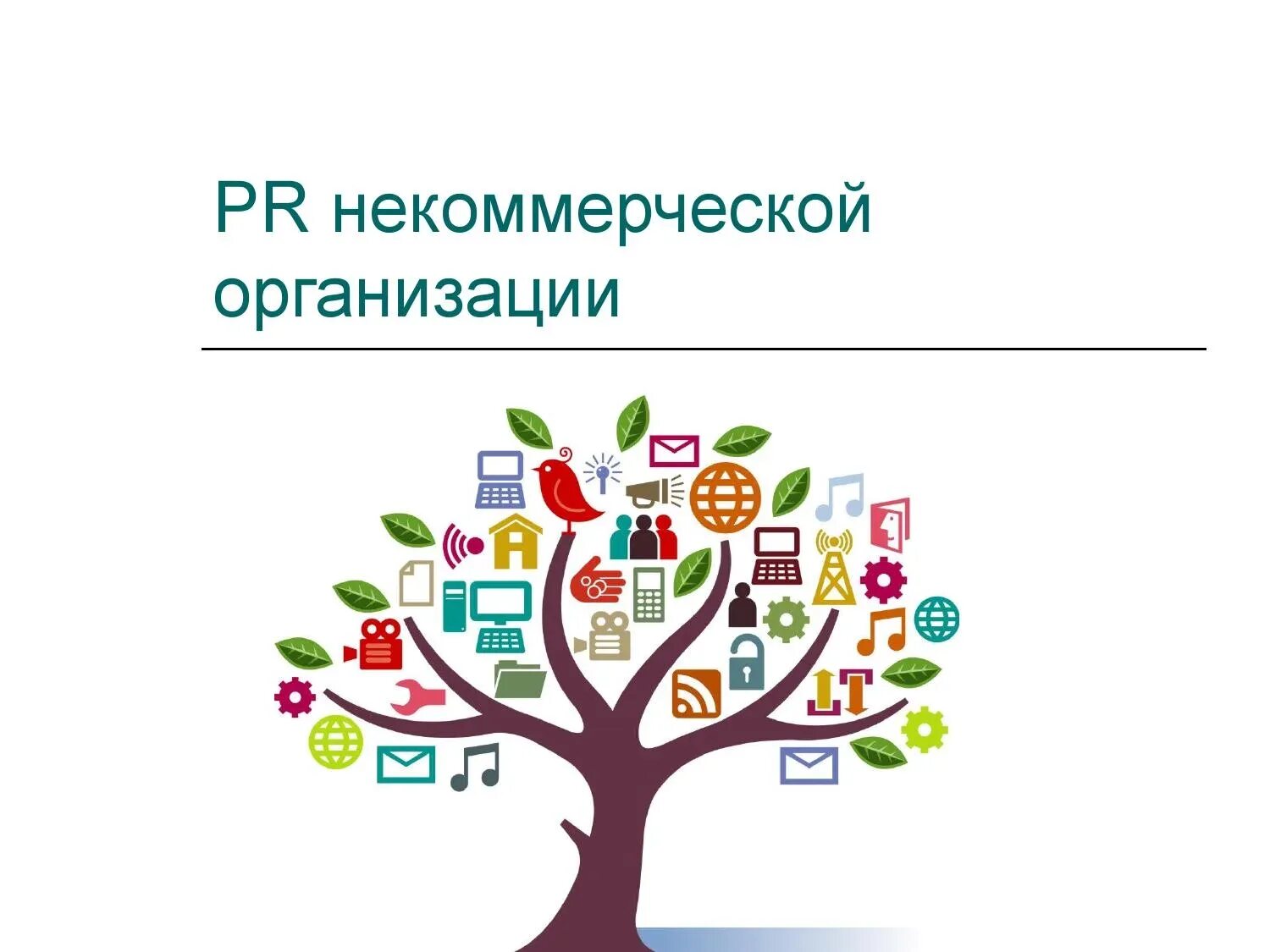 Некоммерческие организации. Некоммерческие организации картинки. PR некоммерческих организаций. Некоммерческие организации примеры. Организация конкурса социальных проектов