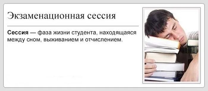 После летней сессии. Высказывания про сессию. Цитаты про сессию. Цитаты про студентов. Шутки про сессию.