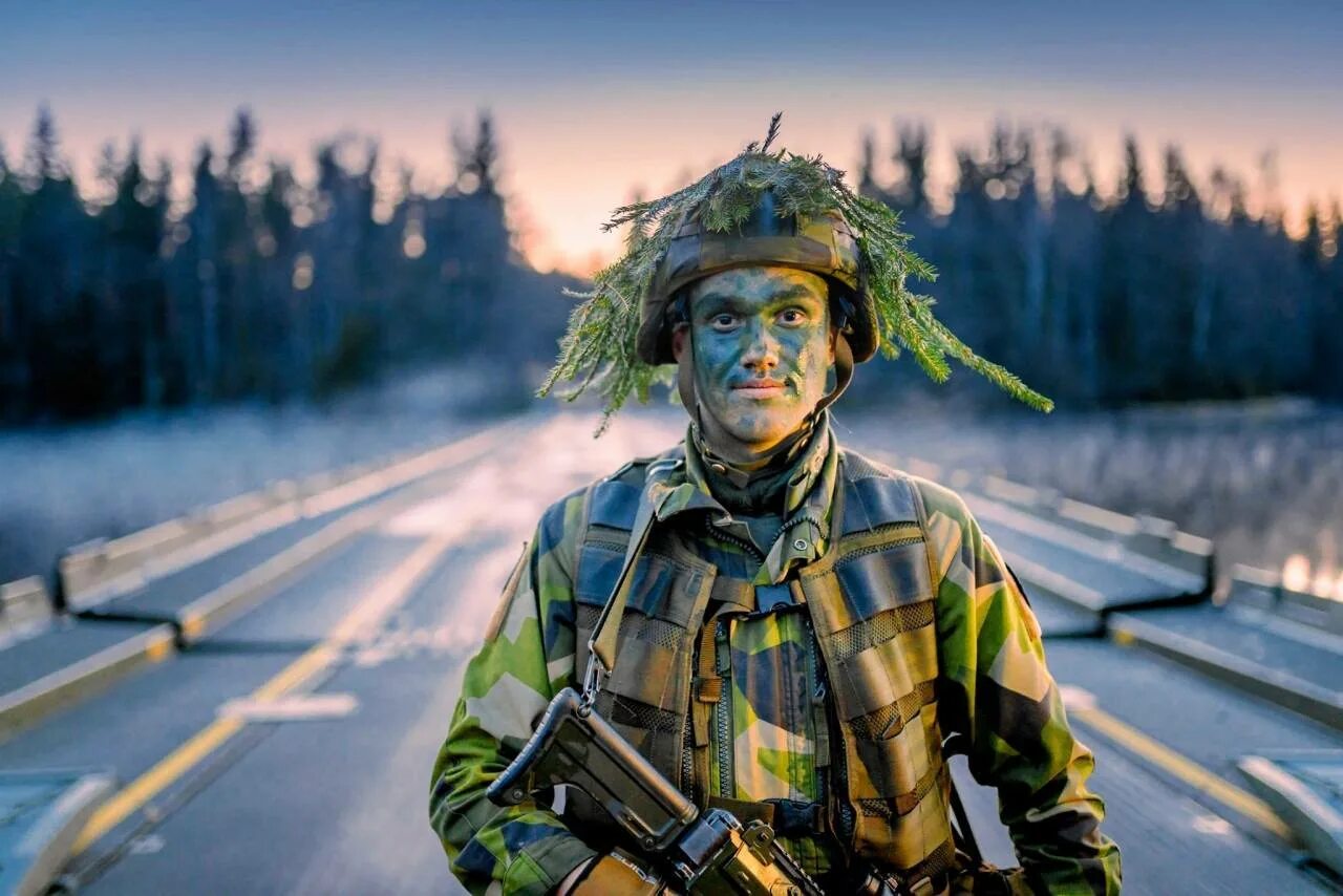 Шведская Военная Аляска. НАТО В Арктике.