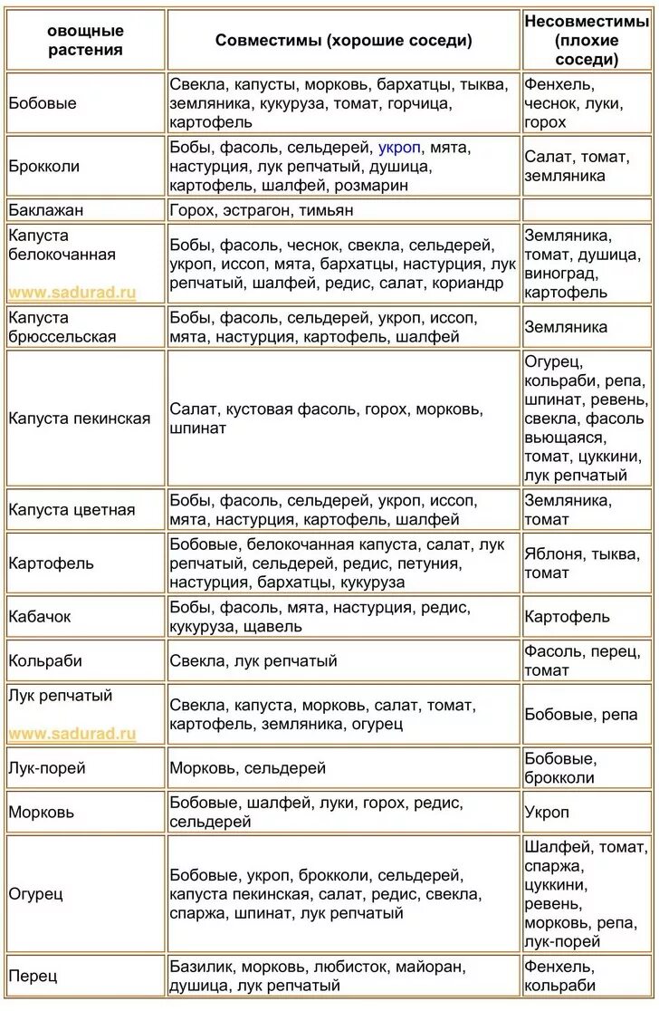 Можно ли сажать свеклу рядом. Таблица совместимости овощей на грядке. Таблица совместимости посадок овощных культур. Смешанные посадки овощей и цветов таблица. Таблица совместимости растений на огороде соседство овощей.