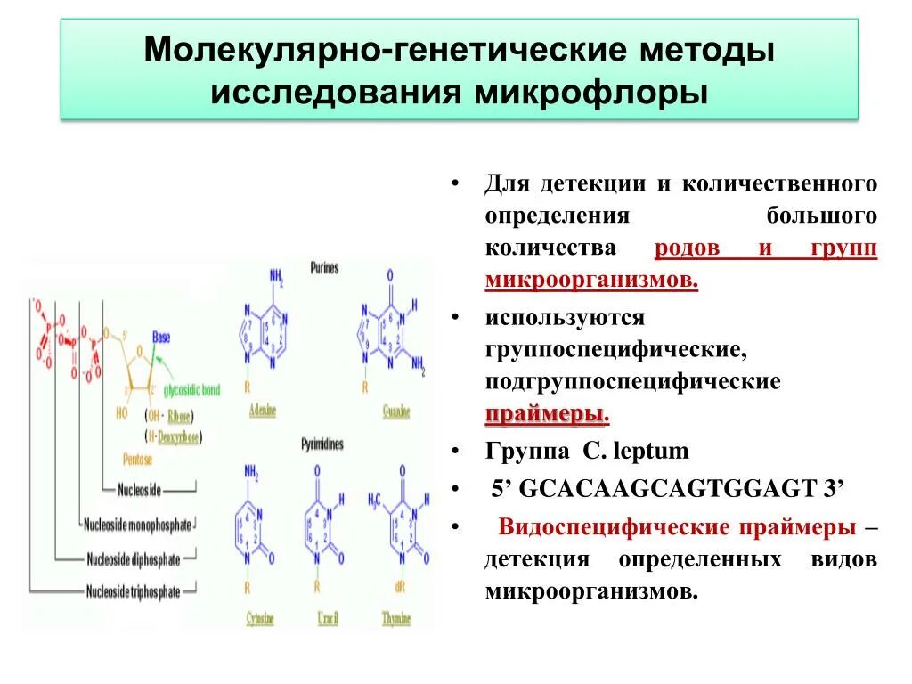 Описание методов генетики. Молекулярно-генетический метод изучения генетики человека. Молекулярно-биологические методы исследования метод генетического. Молекулярно-генетические методы исследования микрофлоры. Молекулярно-генетический и биохимический методы..