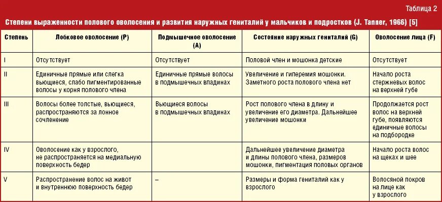 Оценка стадии полового развития. Оценка степени полового развития по Таннеру. Оценка полового развития мальчиков. Стадии полового развития по Таннеру у мальчиков. Половое развитие мужчин