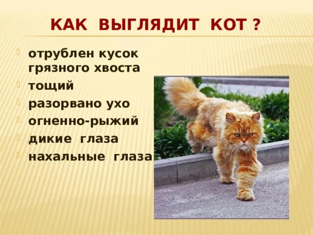 Кот ворюга рассказ о коте. План кот ворюга 3 класс. Кот-ворюга план рассказа. Кот-ворюга Паустовский план. План к рассказу кот ворюга 3 класс