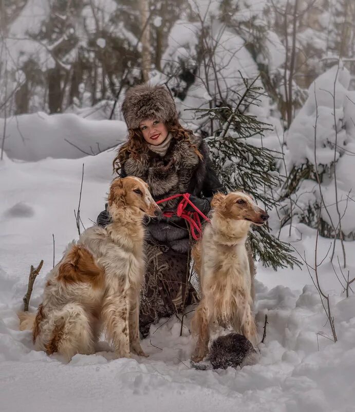 Курцхаар дратхаар лангхаар. Охотничий собаки девочки. Краснопегий пойнтер. Классическая одежда для охоты с легавой. Охотничий собаки девочки.