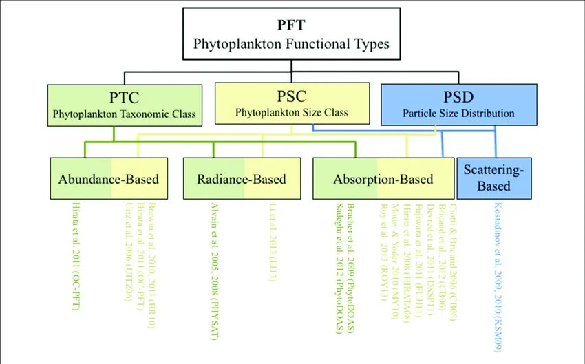 Фитопланктон виды. Functional Groups of phytoplankton. Types of functions. Types of functional Zones. Types function in aiogram.