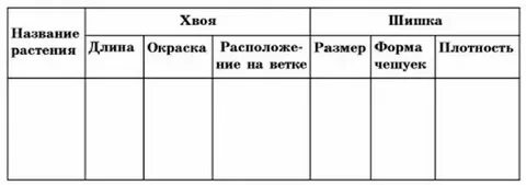 Плотность шишки