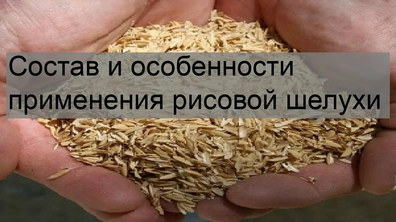 Ус, рисовая лузга. Рисовая шелуха. Шелуха риса. Шелуха рисовая, брикет 30 кг. Шелуха риса.