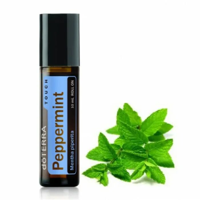 Дотерра мята роллер. Doterra эфирное масло мята перечная. Мята эфирное масло дотерра. Перечная мята дотерра. Перечная мята doterra.