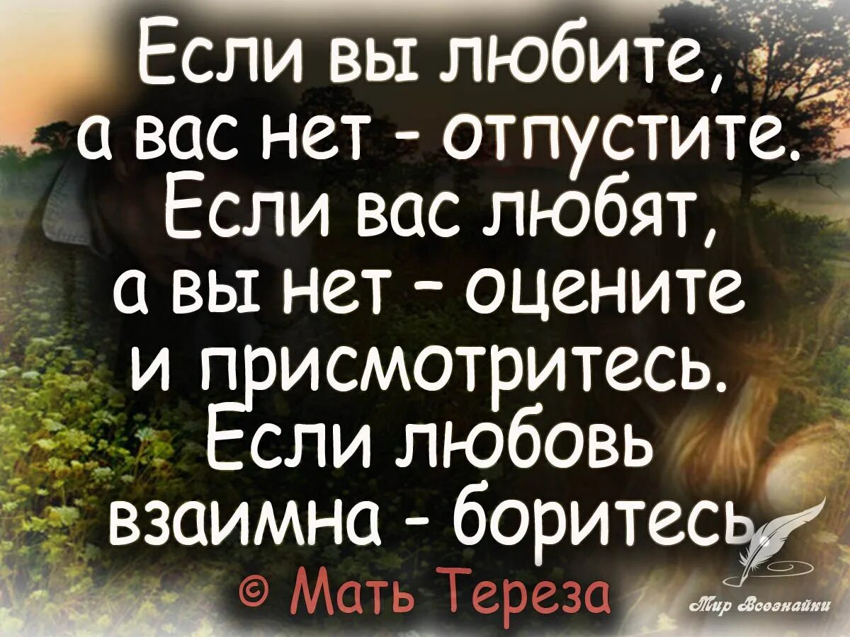 Я люблю когда ты продолжить. Цитаты про любовь. Цитаты про взаимность. Любовь цитаты цитаты. Взаимная любовь цитаты.