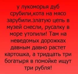 Кота на мясо порубили