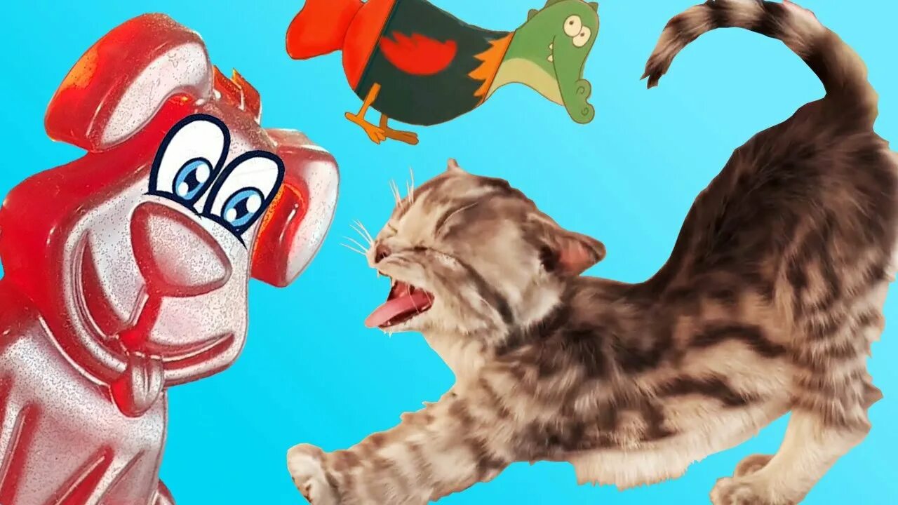 Вкусняшки валера желейный медведь. Желейная собака стасик. Желейный пёс стас. Желейный пес. Включи желейного песика стасика.