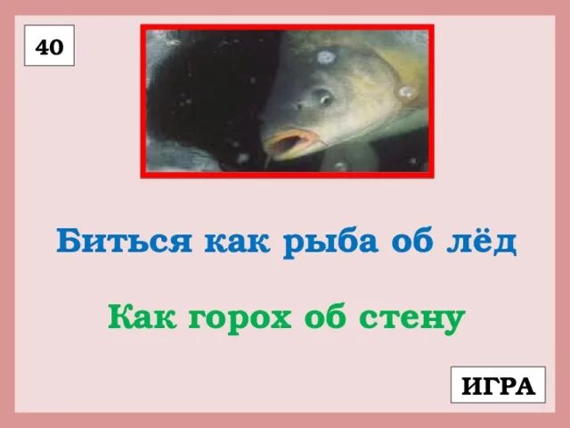 На что больше похож лед. Биться как рыба об лед. Рыба на льду. Молчит как рыба об лед. Биться как рыба об лед фразеологизм.