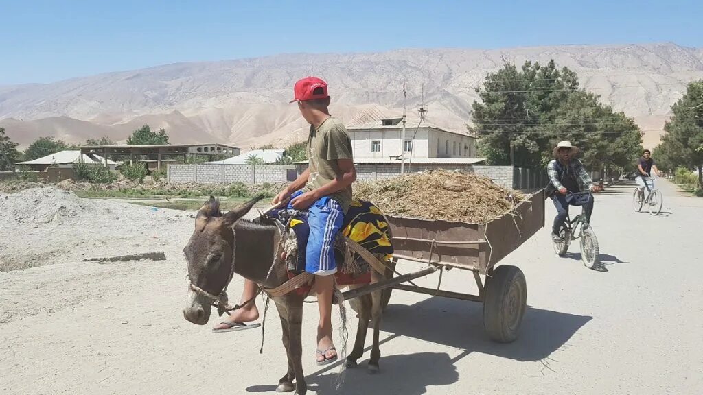 Фархор таджикистан. Город фархор. Хатлонская область фархорский район. Обу хаво нохияи фархор. Фархор гиссар.