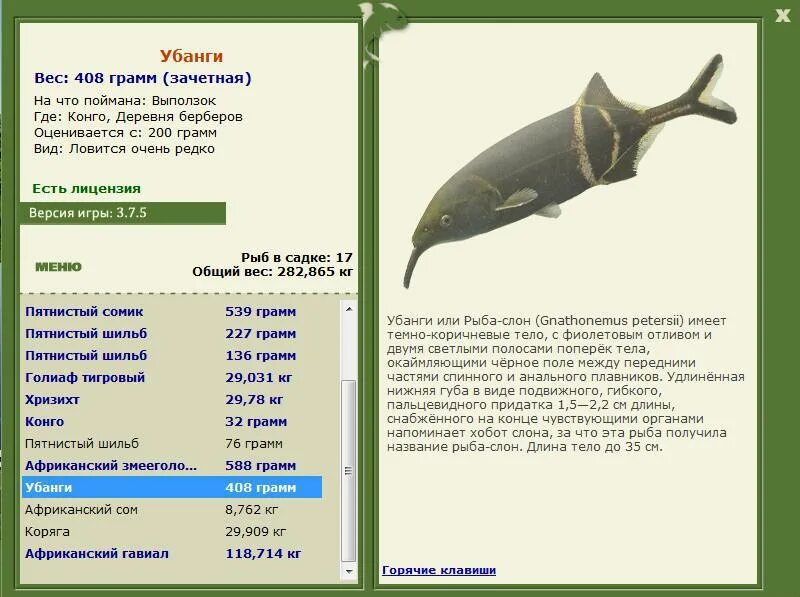 Русская рыбалка 3 рыбы. Рыба-слон Gnathonemus petersii. Русская рыбалка 3.1. Русская рыбалка 3 редкие рыбы. Русская рыбалка 376
