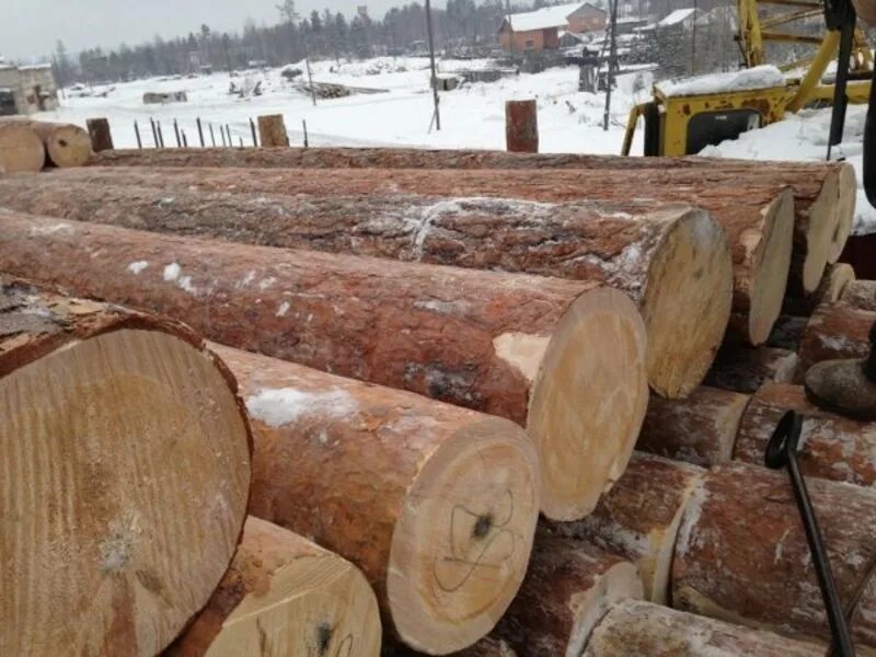 150 кубов леса. сколько кубов положено на 1 человека леса. количество досок в кубе таблица 3 метра. 150 кубов древесины. как получить лес бесплатно от государства на строительство дома.