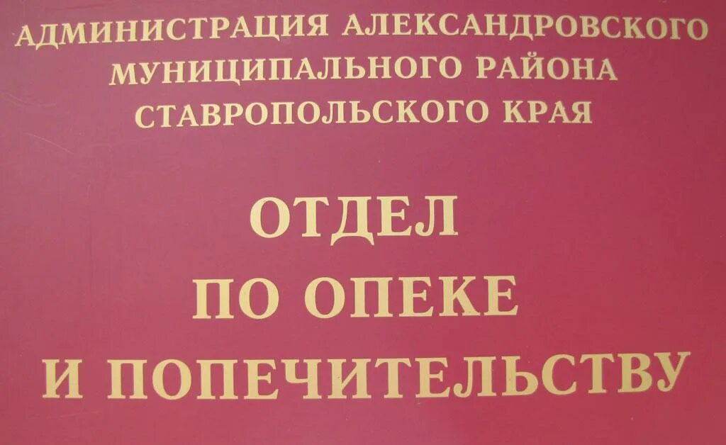 Опека и попечительства центрального района. Опека и попечительство. Органы опеки. Органы опеки и попечительства Москва. Департамент опеки.