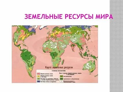 Какая страна обладает большими земельными ресурсами