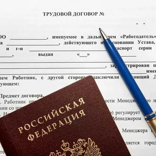 Официальное трудоустройство для работодателя
