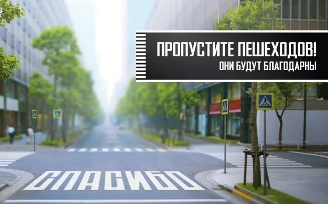 Пропускать проявить. Листовка пропусти пешехода. Баннер ПДД. Пешеход. Пропустите пешеходов.