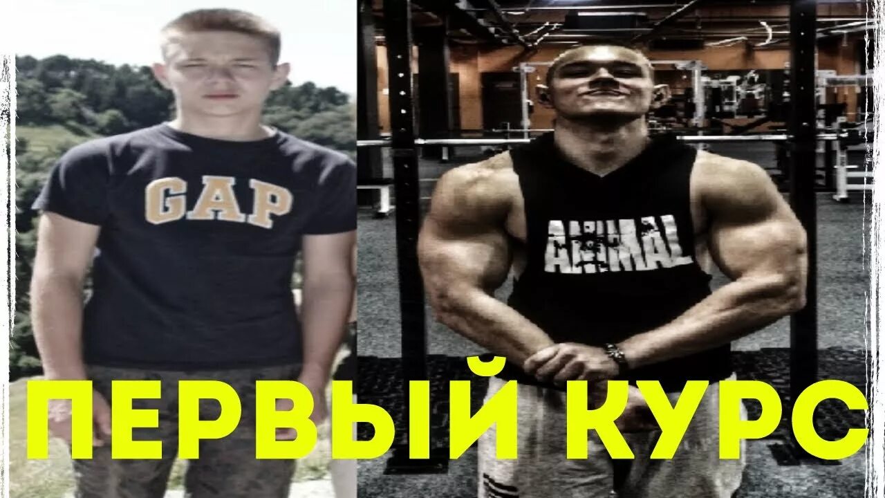 Курсить это
