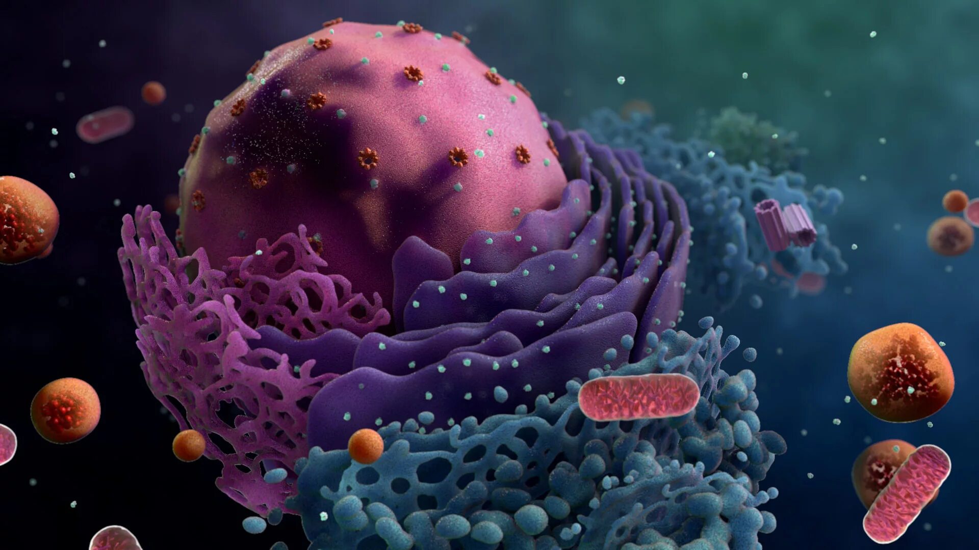 Cell image