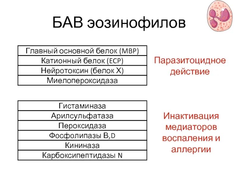 Эозинофильный катионный белок норма у взрослых женщин. Эозинофильный катионный белок норма у взрослых женщин. Эозинофильный катионный белок что это норма. Эозинофильный катионный белок норма у детей 3 года. Эозинофильный катионный белок норма у детей 4.