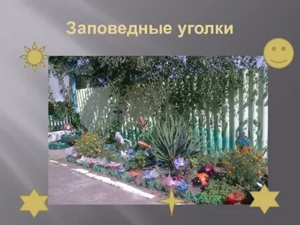 Заповедный уголок