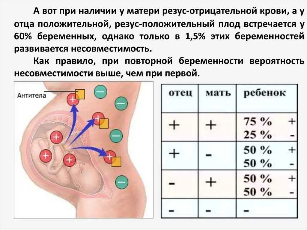 1 отрицательная группа беременности. Резус-конфликт при беременности положительный у матери. Резус конфликт у мамы 1 положительная. Положительный резус фактор матери и отрицательный плода. Факторы риска резус конфликта.