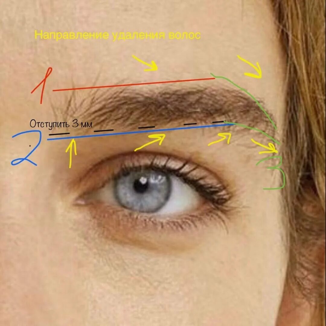 Брови волоски. Кончик брови. Направление роста волосков бровей. Торчащие брови. Почему нельзя выщипывать брови