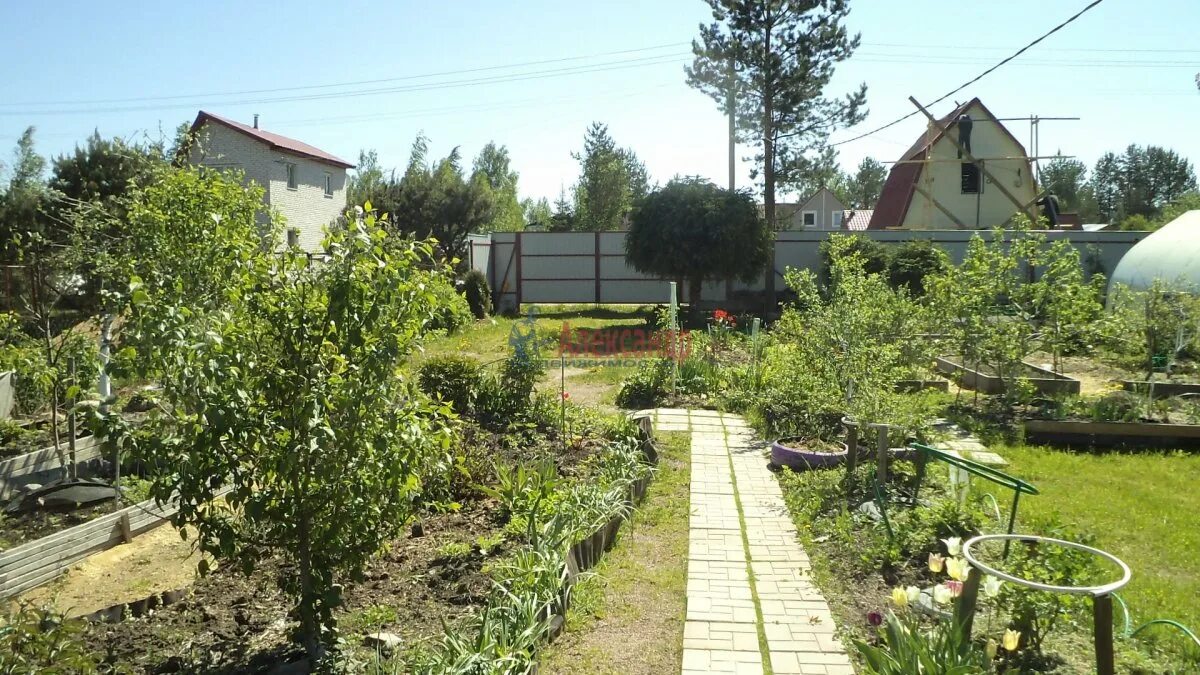 Деревня куйвози. Куйвози 2 погода сейчас. 11. Д. Куйвози, ул.