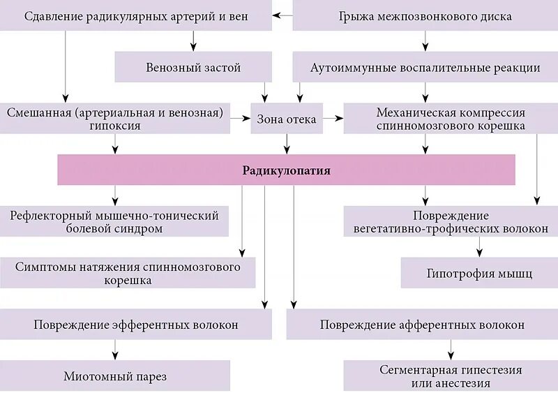 Синдром радикулопатии. Пояснично крестцовая радикулопатия патогенез. Радикулопатия l4 l5 слева. Дискогенная радикулопатия l5. Радикулопатия этиология.