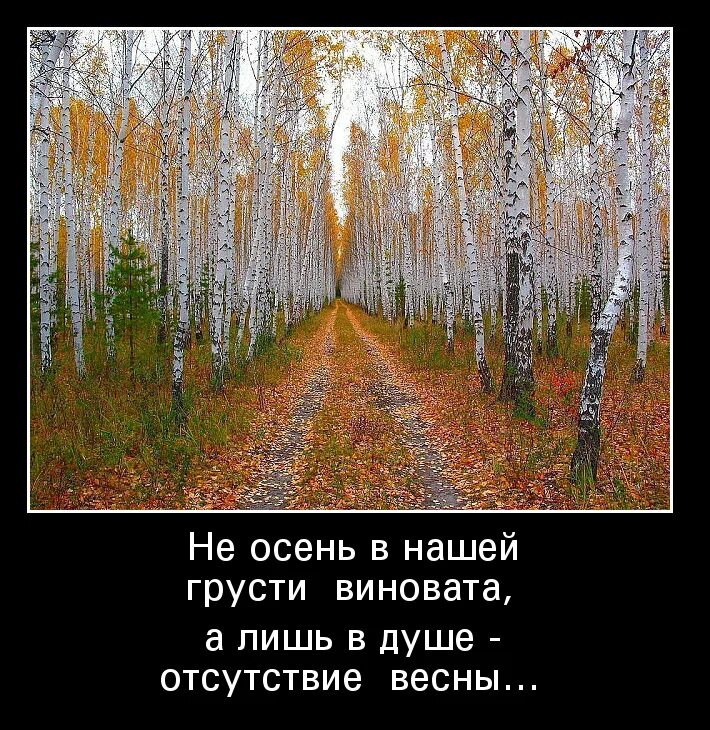 Наступила холодная пора. Осень грусть цитаты. Демотиваторы про осень. Цитаты про осень. Классные статусы про осень.