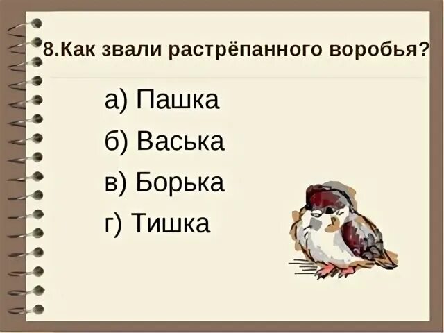 Воробей отзывы